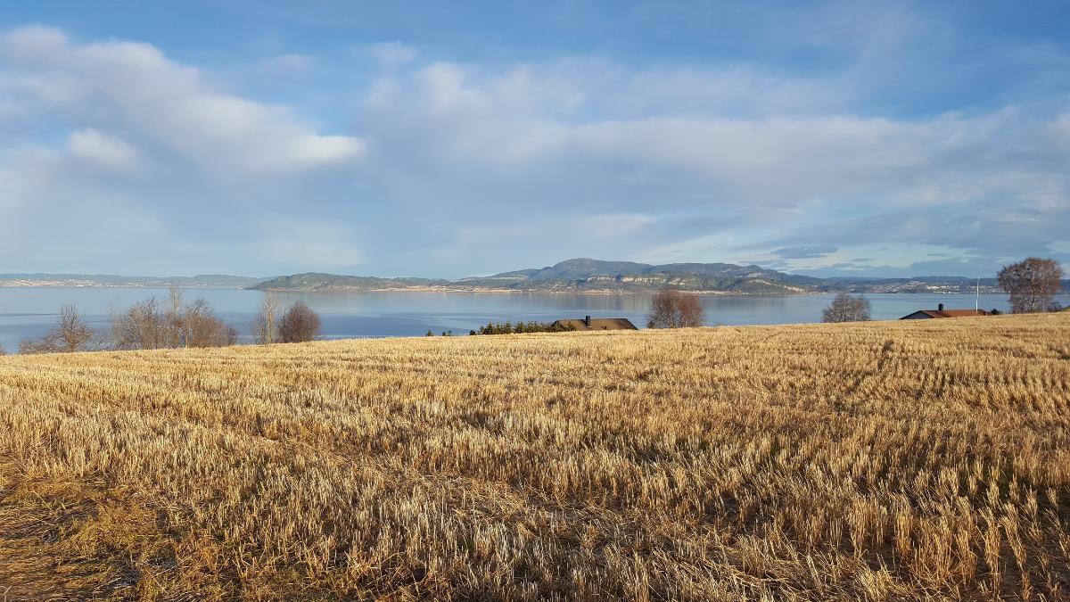 Utsikt Trondheimsfjorden AK.jpg